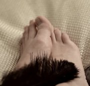 usable_ - Fuss Feder