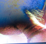 vlbgmolligespaar - dem nachbar dem alten sack einen blow verpasst