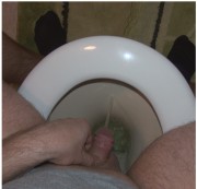 wichsenderSchwanz - Ab in die Toilette