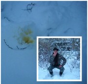 woman72 - In Tarnklamotten+braunen Rolli  gepisst