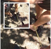 woman72 – outdoor Fusspiss