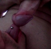 x-ducks - Blasen mal anders