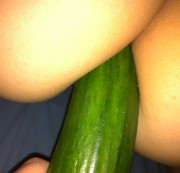 xxxHot-MVxxx - Die Analgurke :)